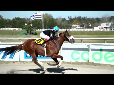 220617 c01 - ROLING STONE - HIPODROMO LAS PIEDRAS