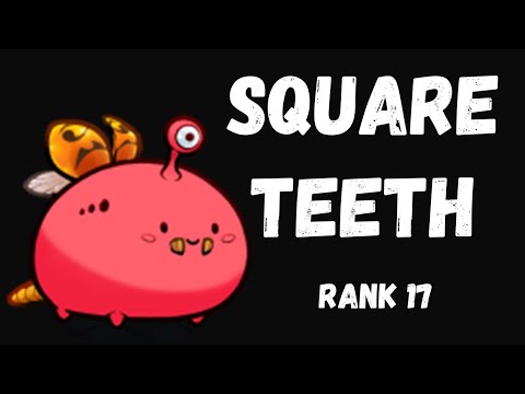 RANK 17 SQUARE TEETH + SHIELD LEECHER | AXIE ORIGIN META