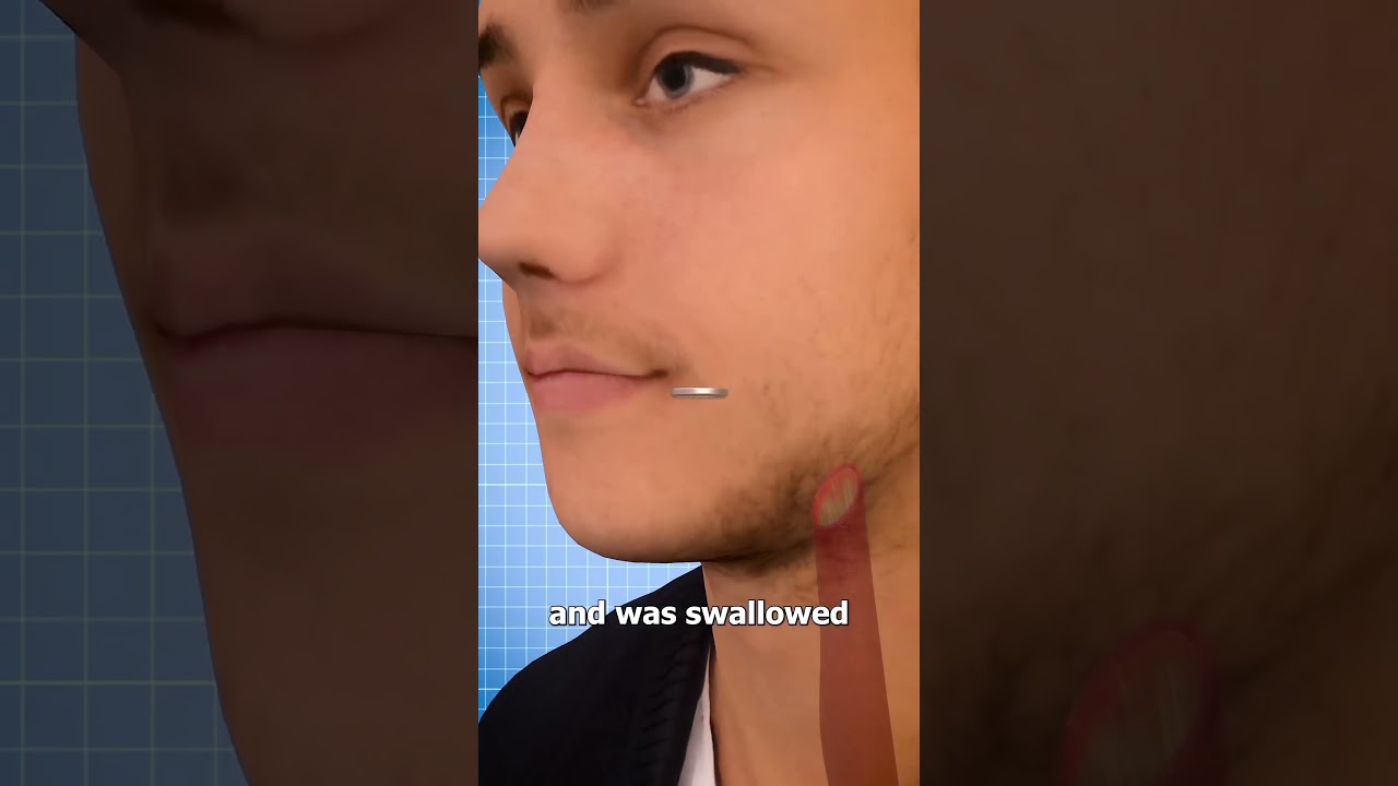 What wrong with @zackdfilms #memes #funny #shorts