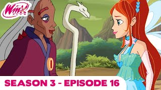 Winx Club  FULL EPISODE  From the Ashes  Season 3 