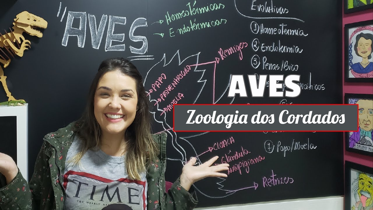 Cordados | Aves 🐵📚