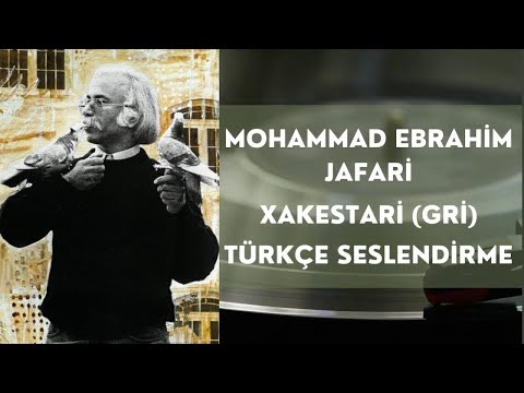 Mohammad Ebrahim Jafari | Gri Şiir (Xakestari) | Türkçe Seslendirme