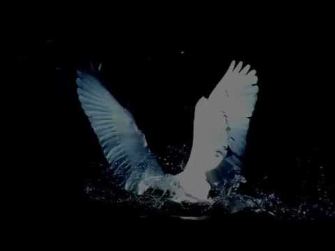 Diving to the unknown in slow motion