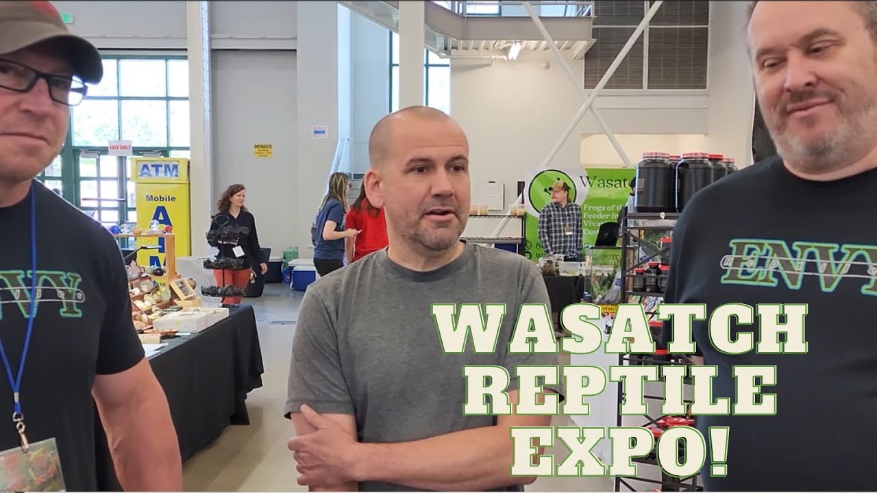 We visit the Wasatch Reptile Expo in Salt Lake City!  #snakes #reptiles #expo   #pets