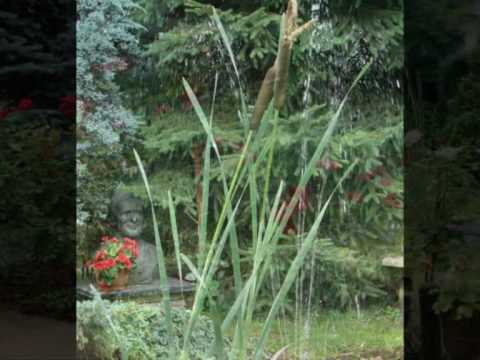 XI Edycja konkursu "Ogród moje hobby" Warszawa, Dom Kultury Zacisze, cz.1/2