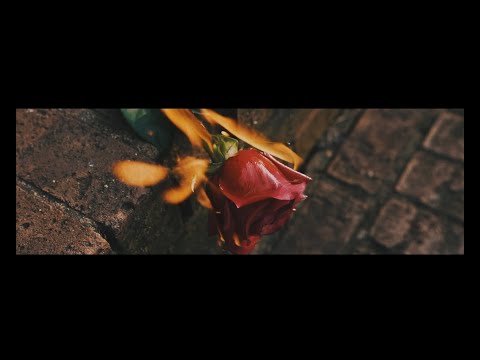 Cronicas De Una Rosa Vídeo Oficial x Fanny Plaza (Freestyle)