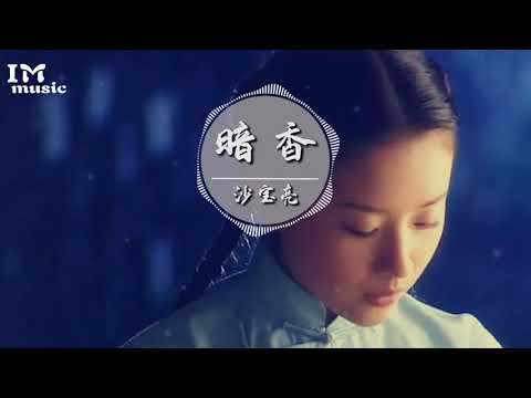 沙宝亮《暗香》