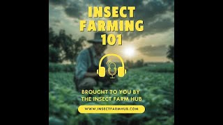 Insect Farm Hub Podcast Ep. 14: Black Soldier Fly Larvae Substrate and Nutrition Guide