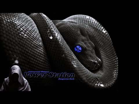 SØNIN & Grigoré – Serpento (Original Mix) [Songspire Records]