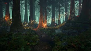 Enchanted Forest - Music & Ambience ✨🌲�