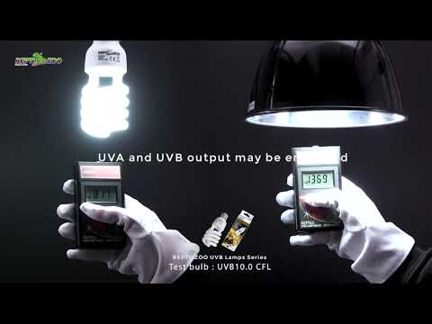 RL02LB 8.5" Deep Dome Light Fixture (Black)