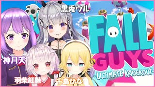 【FallGuys】黒兎ウルちゃん千鳥ひなちゃん羽柴紅魅ちゃんと！【#神月天#VTuber】