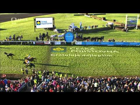 123. Velká Pardubická 2013 - Grand steeplechase Pardubice 2013