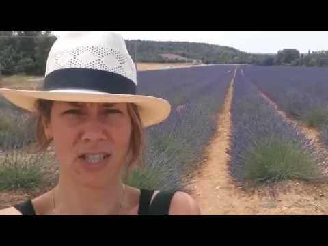 New word in French : Lavender