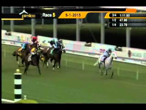 Pimlico 05/01/15 race 5