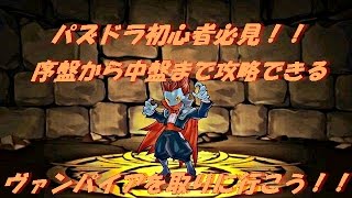 【パズドラ】初心者必見　ハロウィンダンジョンでとるべきモンスター　無課金編