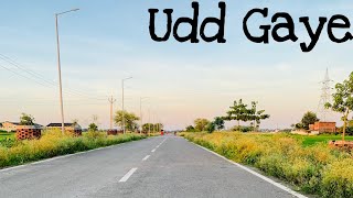 Udd Gaye | Ritviz | Bacardi House Party Sessions | RoadTrip Videography | Ashutosh Asthana