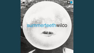 Wilco - Can't Stand It