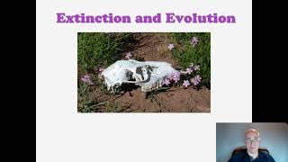Extinction and Evolution Part I
