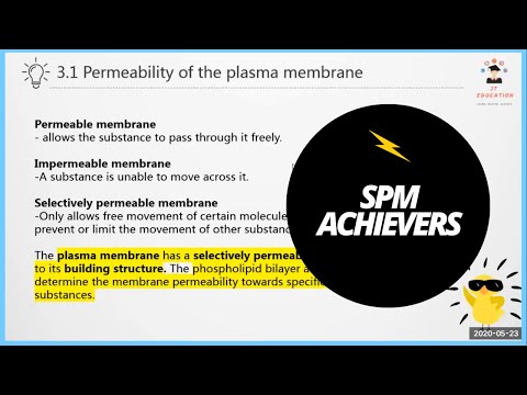 Klb Biology Form 4 Notes Detailed Login Instructions Loginnote