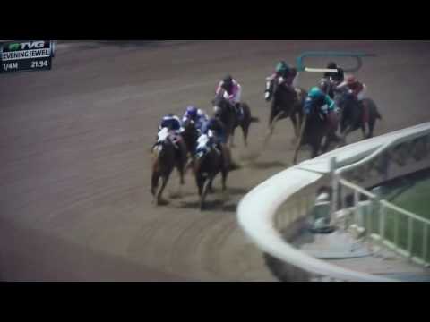 EVENING JEWEL STAKES -SY SKY!!!