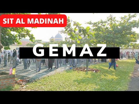 Generasi Emas Bebas Anemia Dan Zero New Stunting ( GEMAZ)