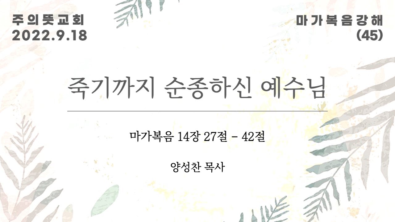 마가복음 강해(45), 마가복음 14장 27-42절, 죽기까지 순종하신 예수님, 양성찬 목사, 주의뜻교회 영상 썸네일