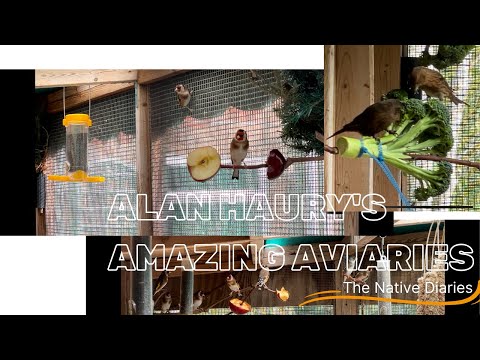 Alan Haury's Amazing Aviaries - The Native Diaries