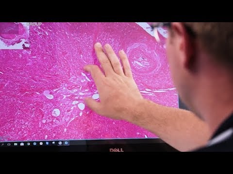 M8 - The Ultimate Collaboration Digital Microscope & Scanner