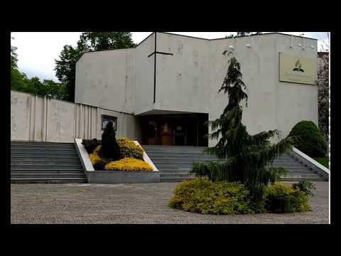 Michal Balcar • dopolední bohoslužba • 30.5.2020 • … a tak je to s každým, kdo se narodil z Ducha