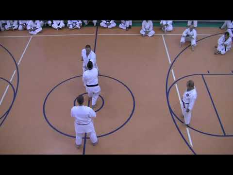 Matsubayashi ryu Pinan Shodan Bunkai Nagamine Sensei