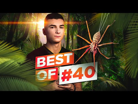 ATTAQUÉ PAR UNE ARAIGNÉE - Best of Kaydop #40