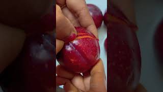 Download lagu Plum Fruit |Aloo Bukhara Cutting |#beauty #tasty #fruit #plum #cutting mp3 Download lagu Plum Fruit |Aloo Bukhara Cutting |#beauty #tasty #fruit #plum #cutting mp3