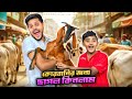 রাকিব গরুর হাট থেকে কিনে আনলো VIP ছাগল Qurba