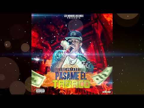 SCARFACE ❌ PASAME EL TABACO ❌ #LosMenoresRecords