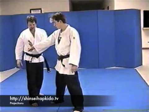 Shinsei Hapkido Projections
