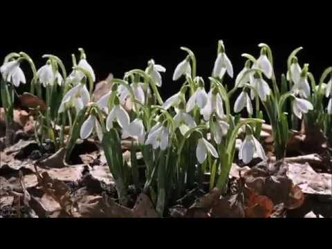 Nadziei czas - Mariusz Domaszewicz; Rytmy Natury w Dolinie Baryczy - Artur Homan