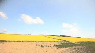 preview picture of video 'Rathfinny Wine Estate - First field planted with Mustard'