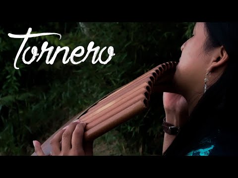 TORNERO - El Tren Que Nos Separa - Panflute - Voice And Quenacho - Cover By Raimy Salazar