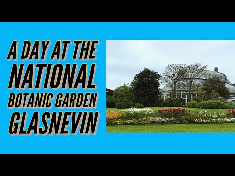 A Day At The National Botanic Gardens Glasnevin | A Must See For Gardeners Visiting Dublin, Ireland!