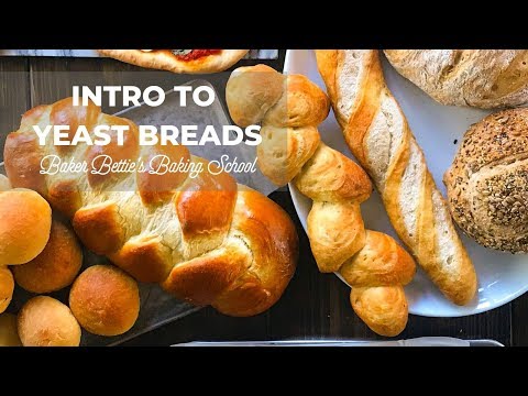 Intro to Yeast Bread (how yeast works, dry yeast, active dry yeast, instant yeast) | Baking School