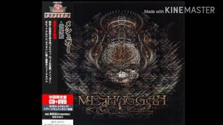 Meshuggah - Swarm