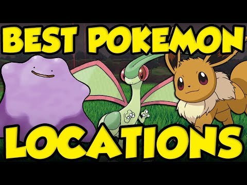 BEST RARE POKEMON LOCATIONS Pokemon Sword and Shield-Eevee / Ditto Location Pokemon Sword and Shield Video