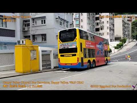【陽光普照超級曬】Hong Kong Bus CTB 1 #8177 @PL9540 Happy Valley (Upper)🍆Felix Villas 城巴 跑馬地上🍆摩星嶺