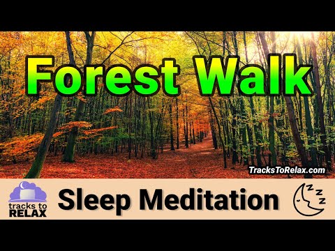 Forest Walk Sleep Meditation