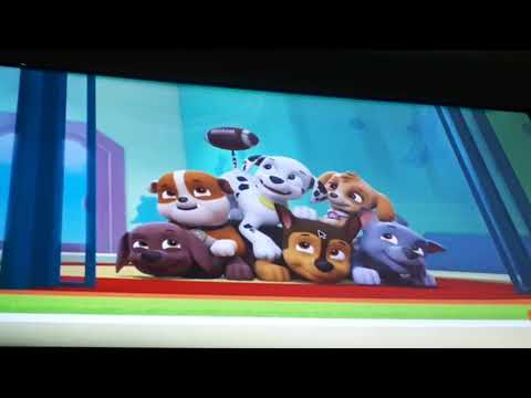 Paw Patrol Crash Part 110