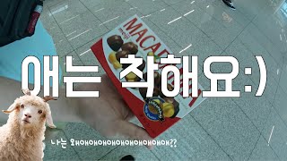 ep.2 썸네일
