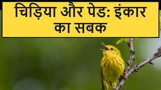 किसी के इंकार को हमेशा उनकी कठोरता न समझे #story #HindiStory #VideoStory #Learning #Bird #LifeStory