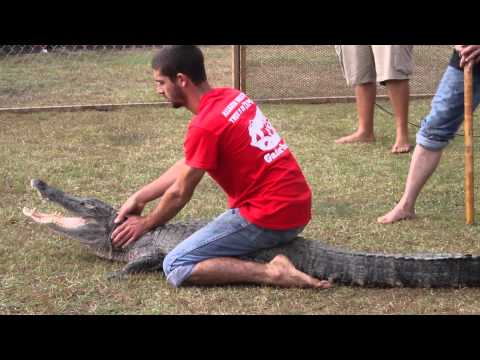 Gator Boys,Ag Fest,Desoto County Florida