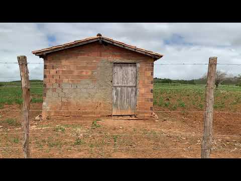VEJA ESTE VÍDEO INCRÍVEL! Adustina, Sertão baiano. 